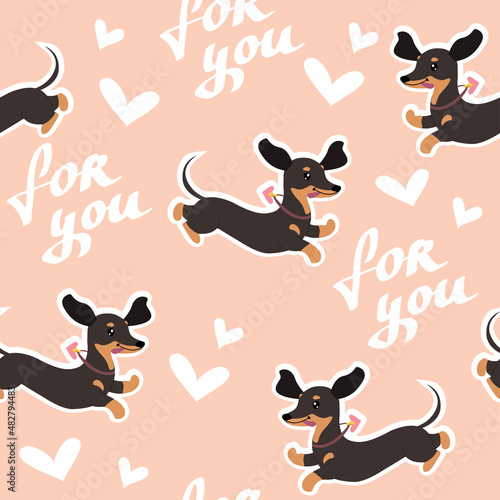 Dachshund dog and lettering for you seamless pattern background for valentines day. Vector illustration