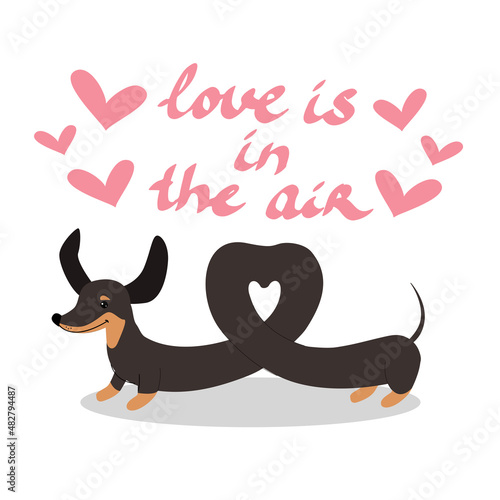 Dachshund dog is twisted in the shape of a heart. Vector illustration for valentine's day