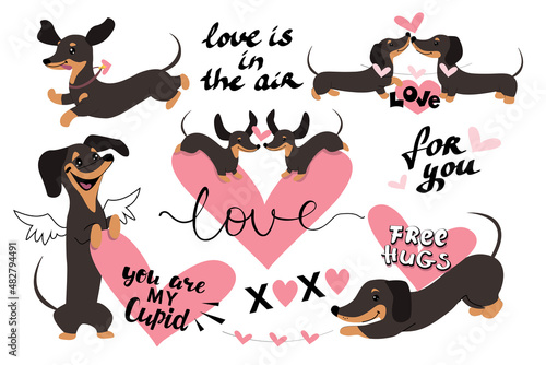 dachshund dogs collection for valentine's day. Vector illustration on a white background