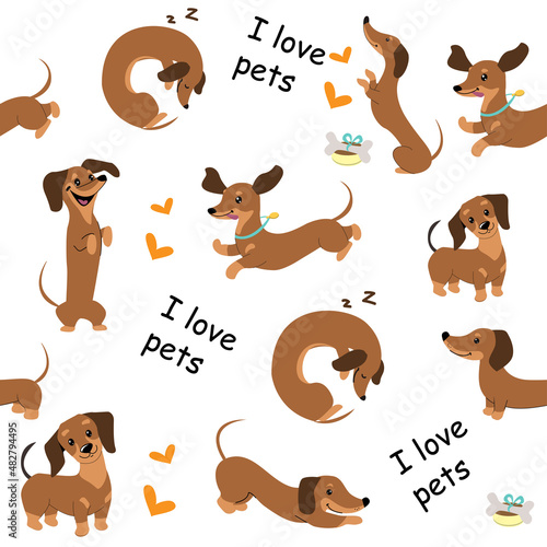 Dachshund dogs seamless pattern on a white background. Vector cartoon illustration. T-shirt design