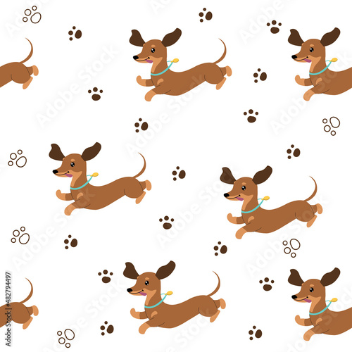 Fototapeta Naklejka Na Ścianę i Meble -  Dachshund dogs seamless pattern. Vector cartoon illustration. T-shirt design