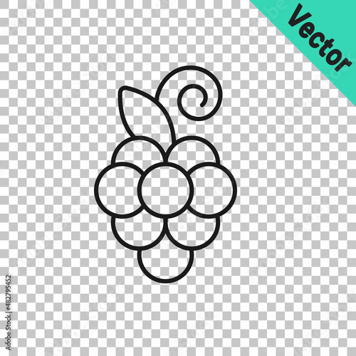 Black line Grape fruit icon isolated on transparent background. Vector