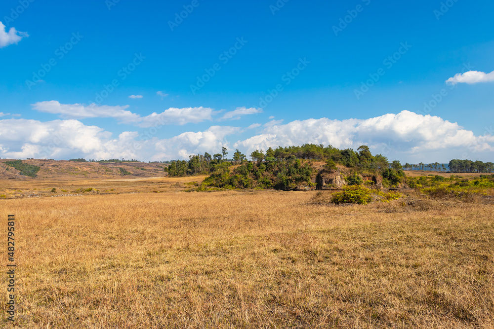 yellow grass countryside fields with bright blue sky at morning from flat angle