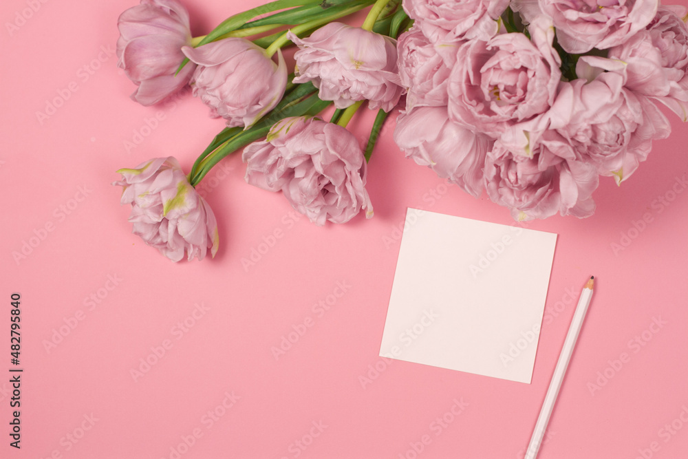 Tulips with blank greeting card on pink background. Place for text. Mock up greeting concept. Horisontal