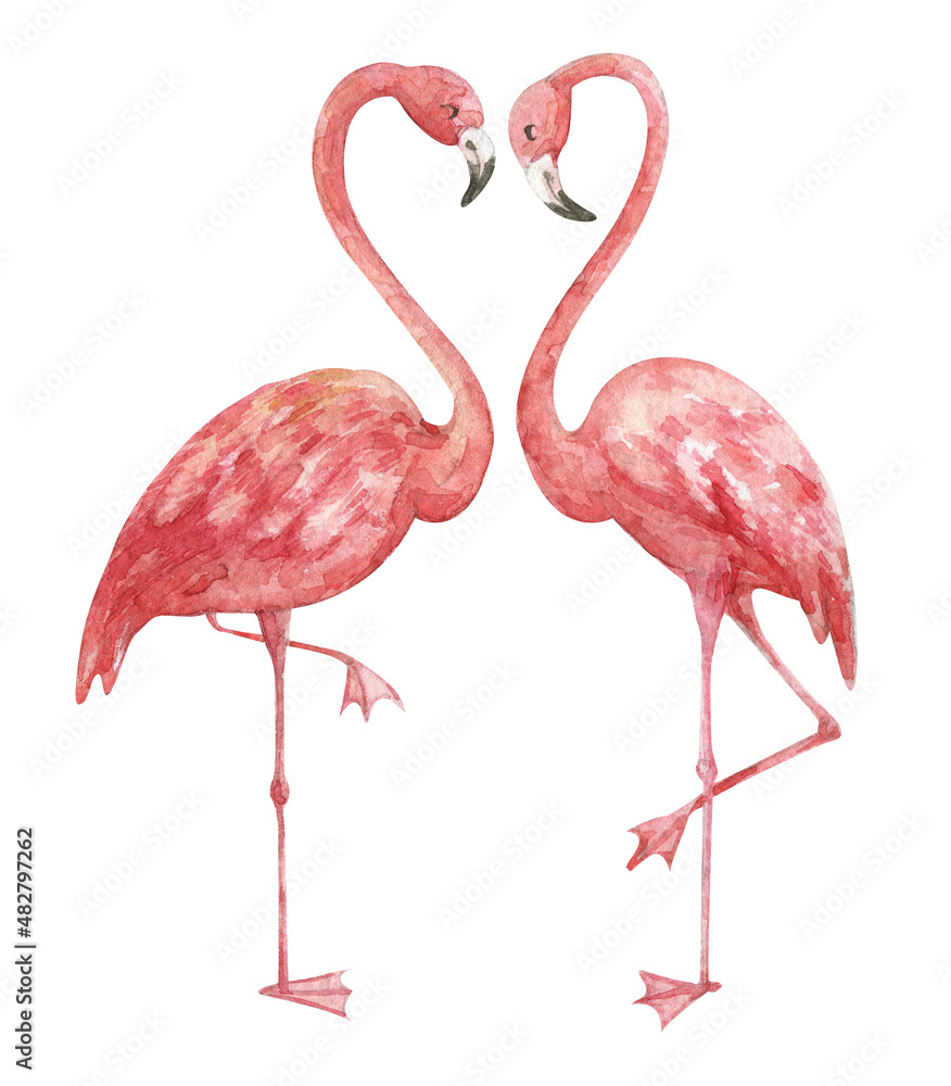 Obraz premium Watercolor illustration of pink flamingos in love.