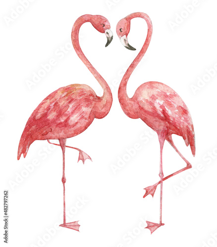 Watercolor illustration of pink flamingos in love.