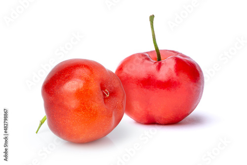 Cherry Acerela