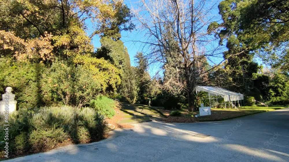 Napoli - Panoramica del Real Orto Botanico dal vialetto di ingresso Napoli - Panoramica del Real Orto Botanico dal vialetto di ingresso