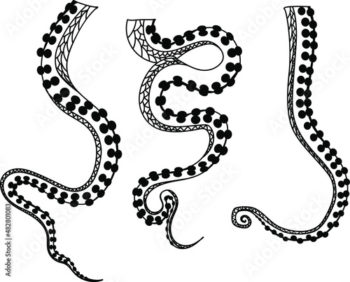 Octopus tentacles. Underwater world. Vector illustration.