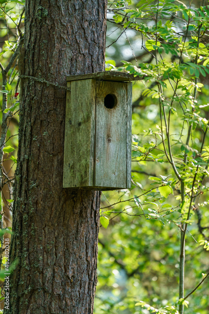 A bird house or bird box in spring sunshine with natural green leaves background.