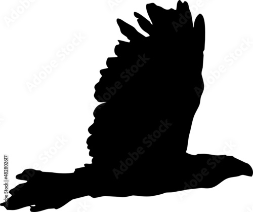 Rapace volant en silhouette, vecteur noir sur fond transparent