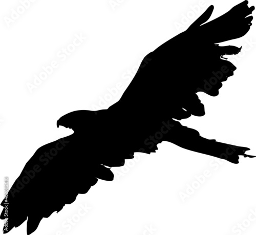 Rapace volant en silhouette, vecteur noir sur fond transparent