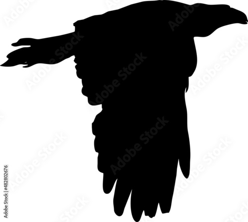 Rapace volant en silhouette, vecteur noir sur fond transparent