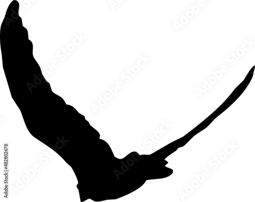 Rapace volant en silhouette, vecteur noir sur fond transparent
