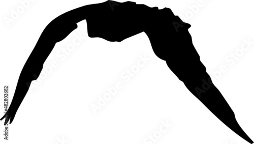 Rapace volant en silhouette, vecteur noir sur fond transparent