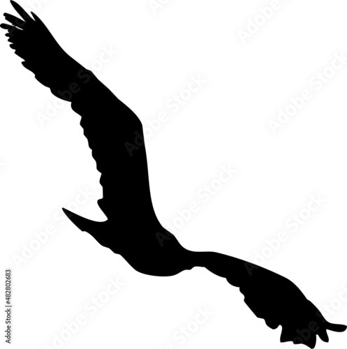 Rapace volant en silhouette, vecteur noir sur fond transparent