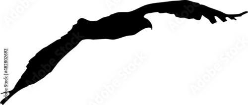 Rapace volant en silhouette, vecteur noir sur fond transparent