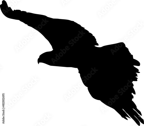 Rapace volant en silhouette, vecteur noir sur fond transparent