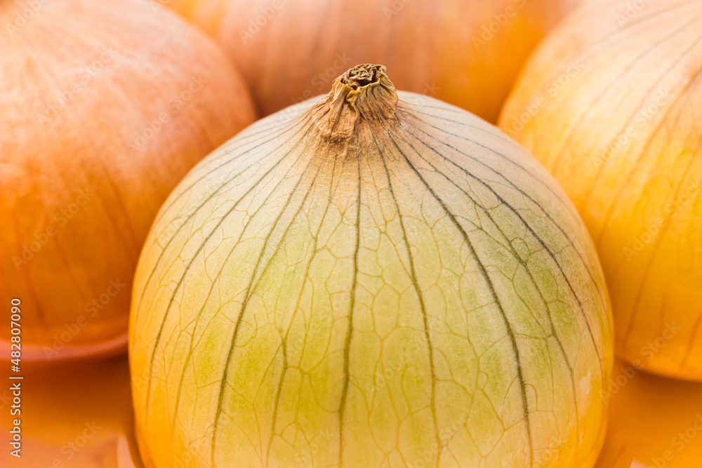 Onion bulbs in seedling tray close up. Onion texture background. Nature