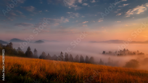 beautiful landscape with valleys  sun and fog in Pieniny mountains