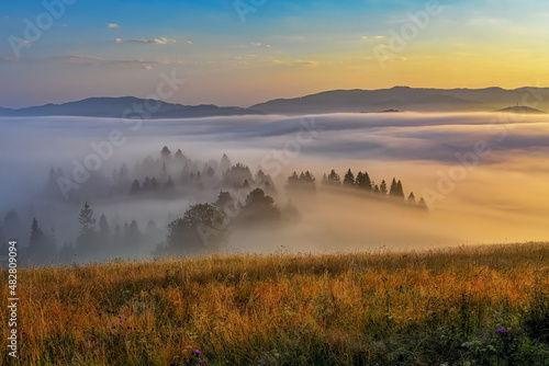 beautiful landscape with valleys, sun and fog in Pieniny mountains