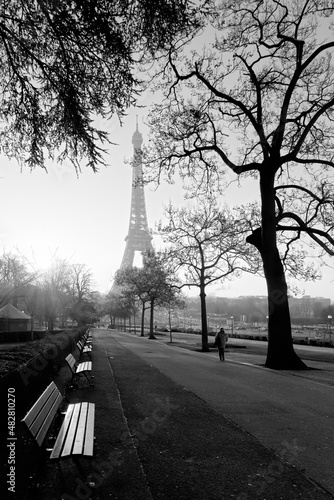 Eiffel tower and Trocadero garden in winter season