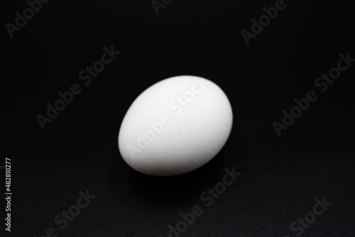 1 white egg isolated on black background
