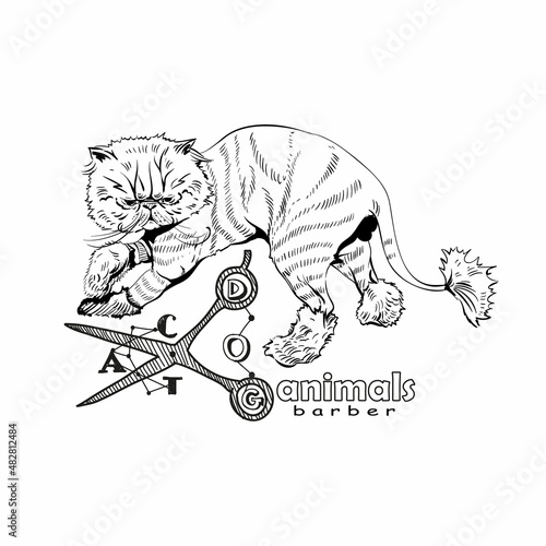 Hand drawn persian cat. Barber style, vector illustration