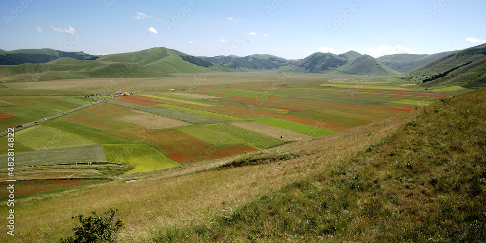 June 2021. The flowering of lentils in Castelluccio di Norcia. Nature transforms the plain at the foot of Mount Carrier into a multi-colored painting June 2021. The flowering of lentils in Castelluccio di Norcia. Nature transforms the plain at the foot of Mount Carrier into a multi-colored painting