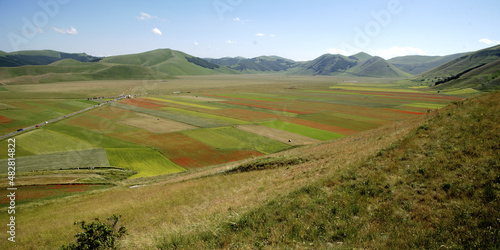 June 2021. The flowering of lentils in Castelluccio di Norcia. Nature transforms the plain at the foot of Mount Carrier into a multi-colored painting