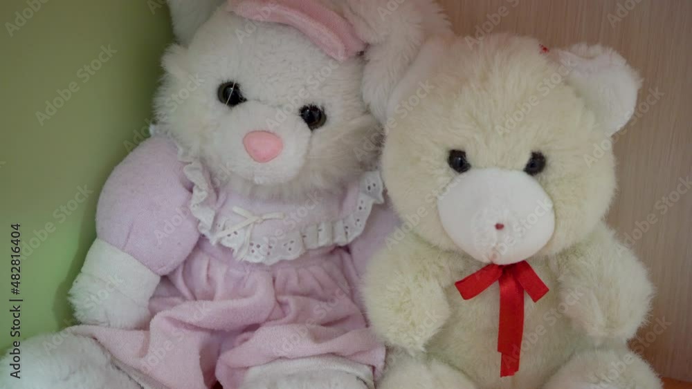 two teddy bears,pair of teddy bears for Valentine's Day two teddy bears,pair of teddy bears for Valentine's Day