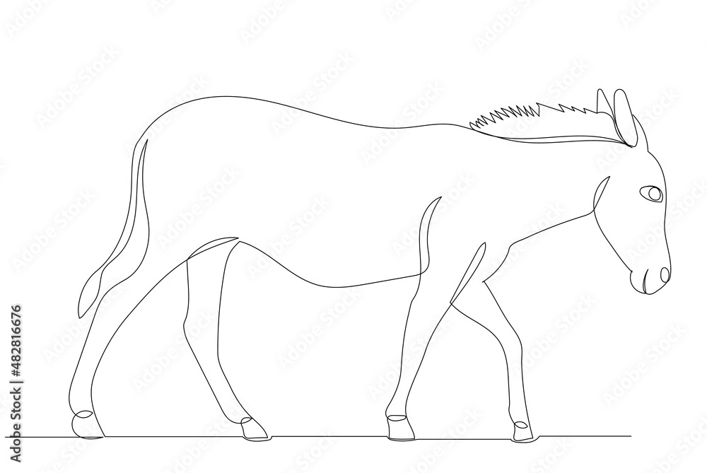 donkey drawing in one continuous line, vector, isolated