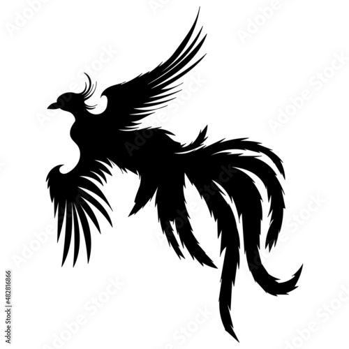 phoenix bird, firebird silhouette,on white background, vector, isolated