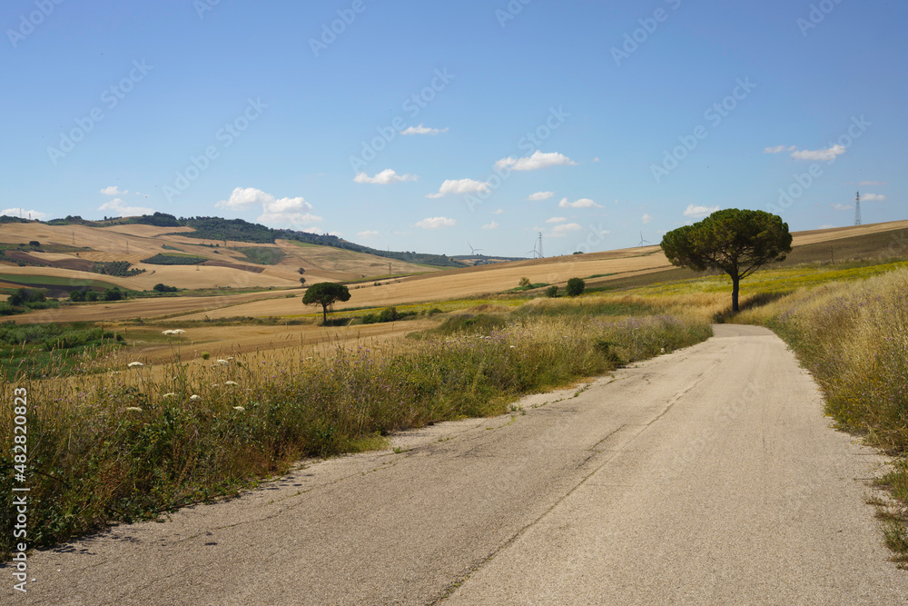 Landscape along the road from Termoli to Serracapriola, Southern Italy