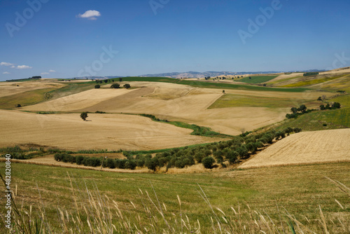 Landscape along the road from Termoli to Serracapriola, Southern Italy photo