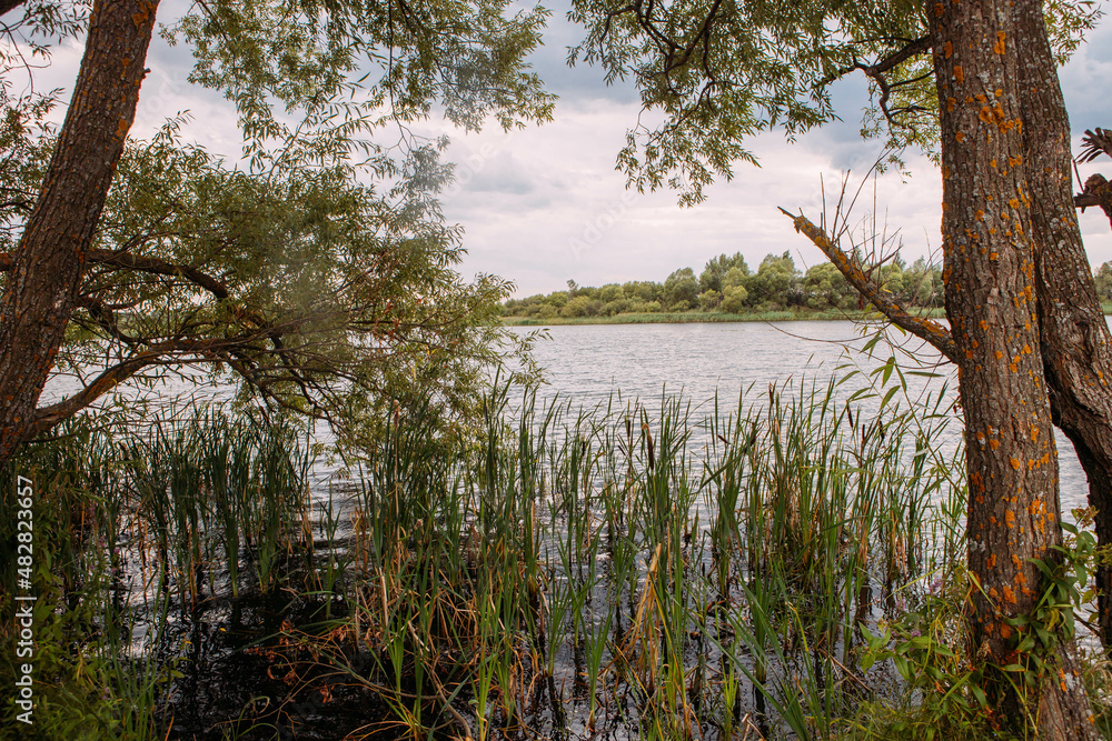 Obraz premium lake in the woods