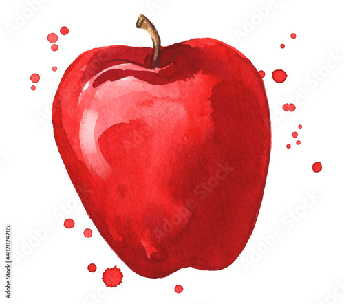 Fresh ripe red apple watercolor illustration