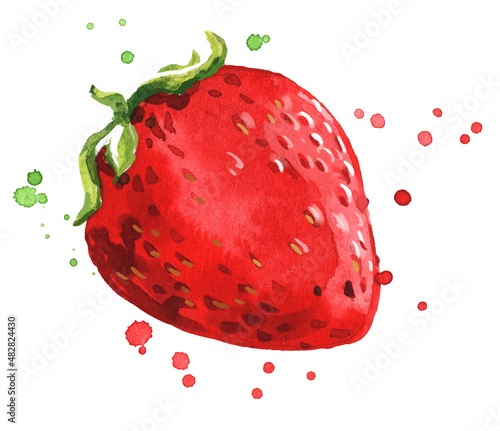 Fresh ripe red strawberry watercolor illustration