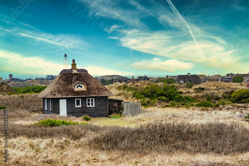 Fototapeta Vacacation houses homes near the North Sea coast in Blaavand, Denmark