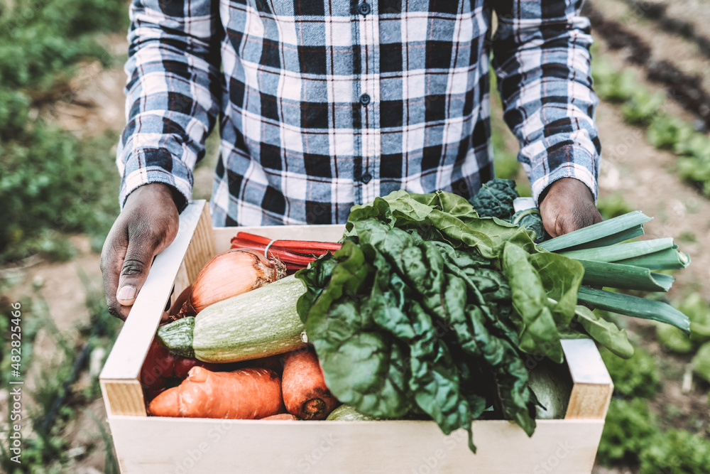 Φωτογραφία African farmer man holding wood box with fresh organic vegetables - Healthy food