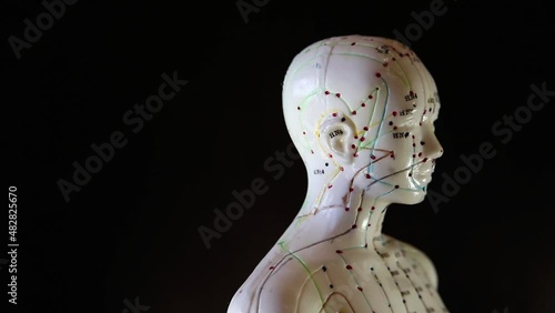 Mannequin rotation with acupuncture points and meridians. photo