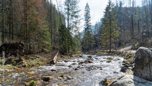 Widoki z gór w zakopanem.