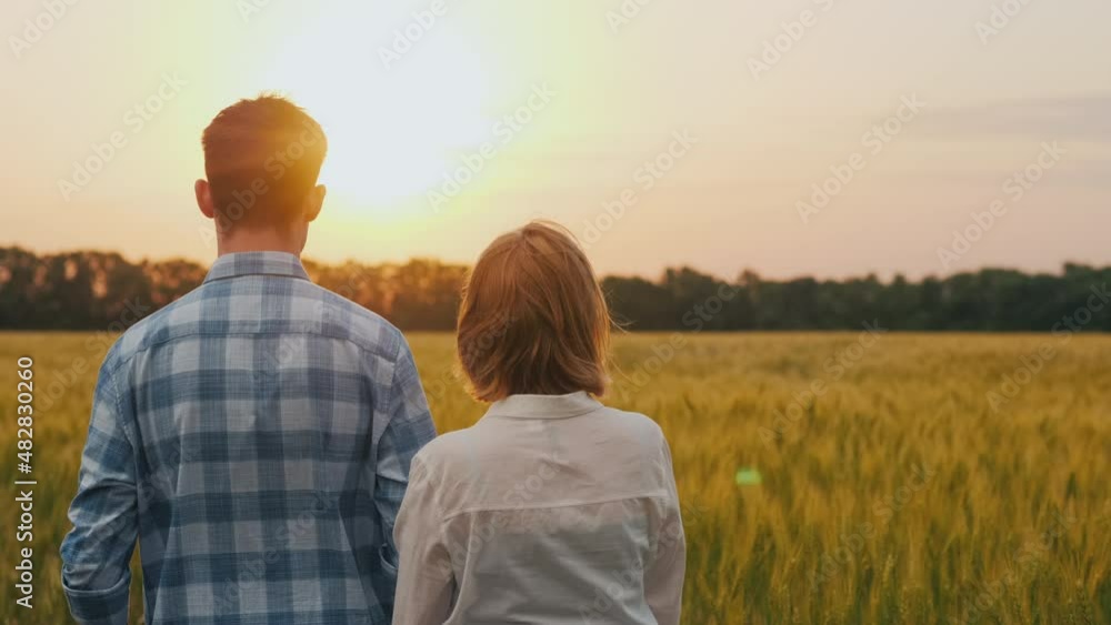 Two farmers - a man and a woman look at a wheat field, view from behind
