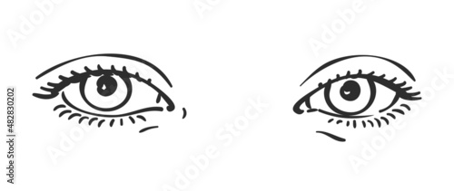 Sketch of beautiful eyes and natural eyebrows of teenage girl, Vector sketch close up, Hand drawn illustration