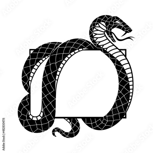 Illustration of angry snake icon isolated on white background.