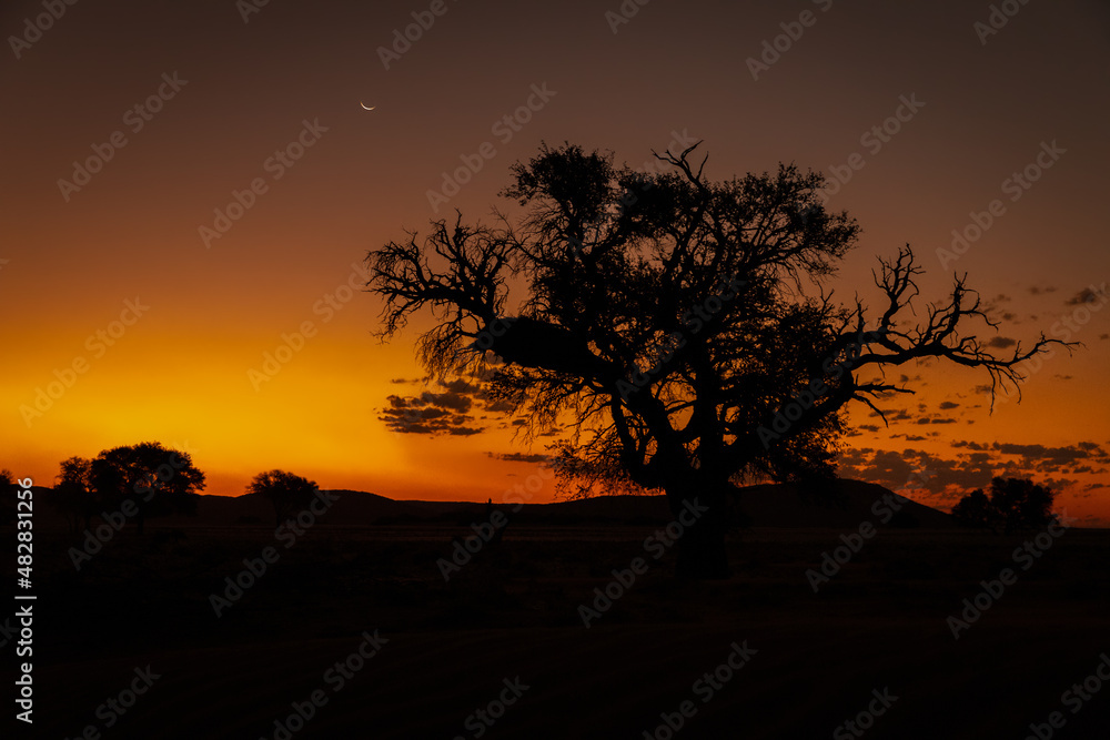 A beautiful sunset, Sossusvlei, Namibia.