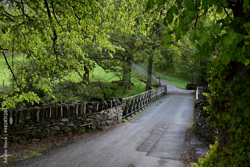 Scenic Remote Patterdale Bridge with Trees in the Spring