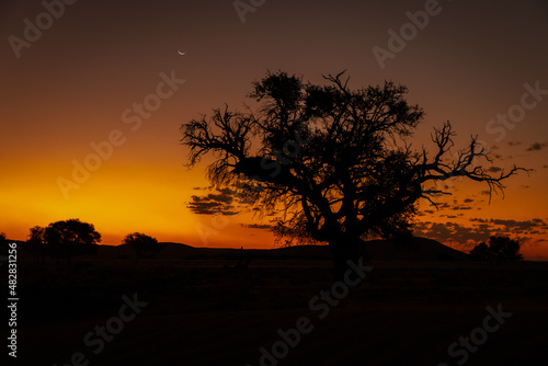 A beautiful sunset, Sossusvlei, Namibia.