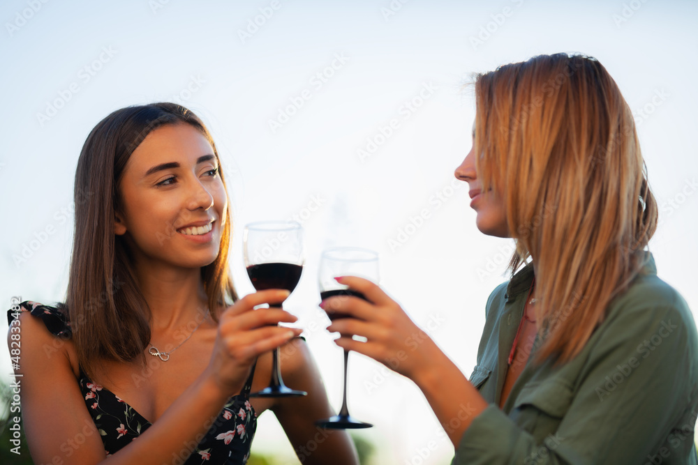 Beautiful girls tasting wine in a field near vineyard field. Celebrating successful harvest season. Couple having a romantic date. Rural tourism concept Beautiful girls tasting wine in a field near vineyard field. Celebrating successful harvest season. Couple having a romantic date. Rural tourism concept