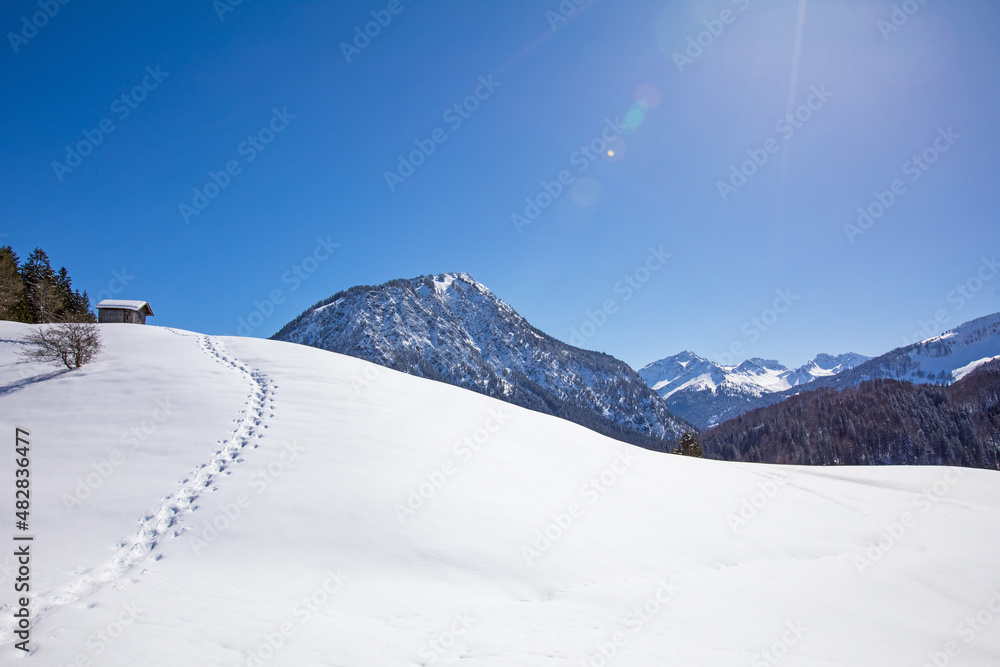 Allgäu - Winter - Stadel - Weg - Schnee - Berge